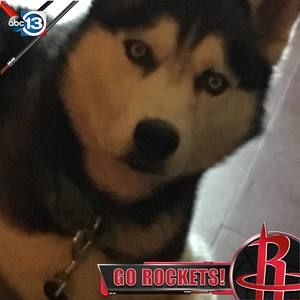 Meet your Posher, Joseph